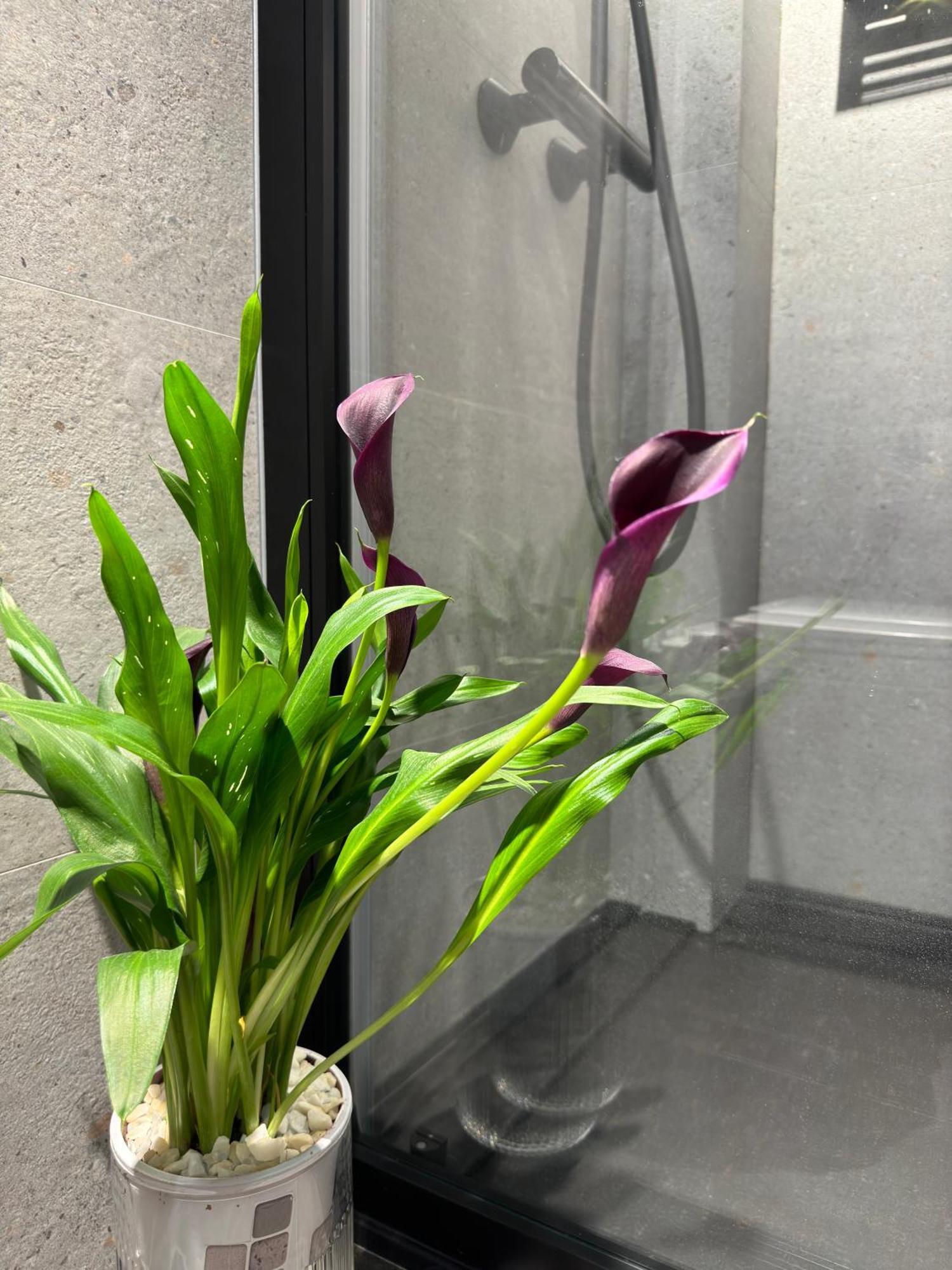 Luxury Apartment Y After Renovation In Cullera With Parking Экстерьер фото